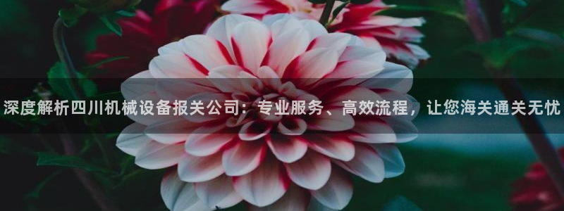 金年会网站拒绝出款怎么办?：深度解析四川机械设备报关公司：专业服务、高效流程，让您海关通关无忧