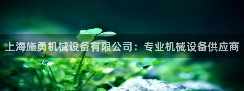 金年会体育app最新官网下载苹果：上海施勇机械设备有限公司：专业机械设备供应商