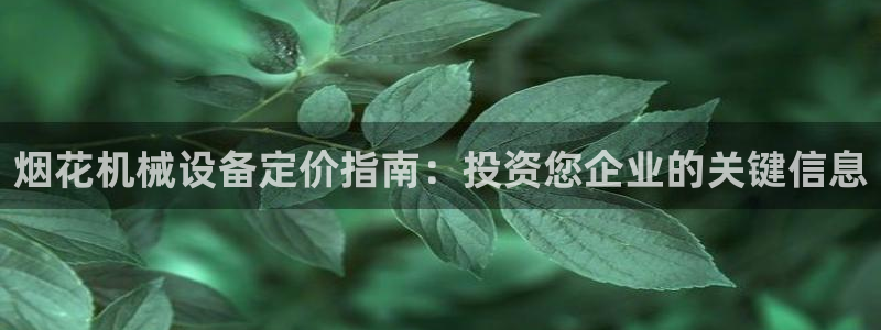 jinnianhui金年会官网：烟花机械设备定价指南：投资您企业的关键信息