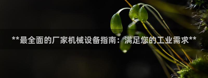 金年会体育app官网入口：**最全面的厂家机械设备指南：满足您的工业需求**