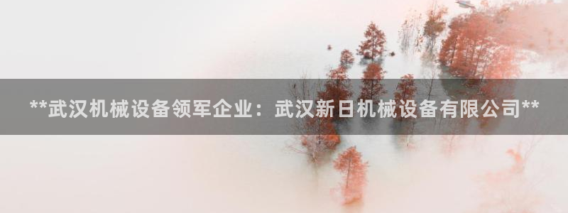 金年会体育怎么样：**武汉机械设备领军企业：武汉新日机械设备有限公司**