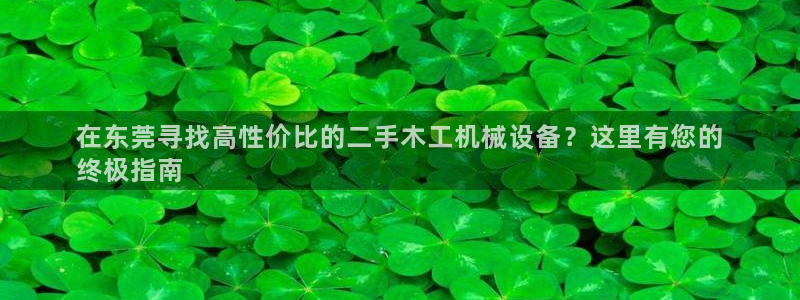 金年会体育登陆：在东莞寻找高性价比的二手木工机械设备？这里有您的
终极指南