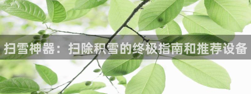 金年会金字招牌荣誉至上：扫雪神器：扫除积雪的终极指南和推荐设备