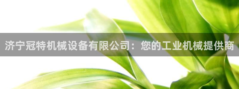 金年会app下载官网登录入口：济宁冠特机械设备有限公司：您的工业机械提供商