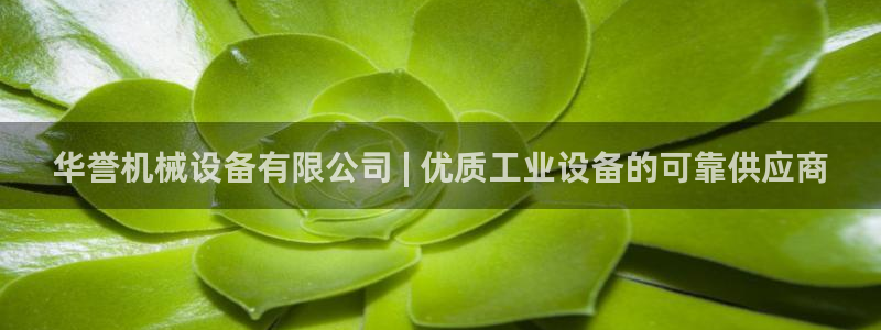 金年会网站怎么样：华誉机械设备有限公司 | 优质工业设备的可靠供应商