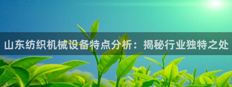 金年会手机网页版：山东纺织机械设备特点分析：揭秘行业独特之处